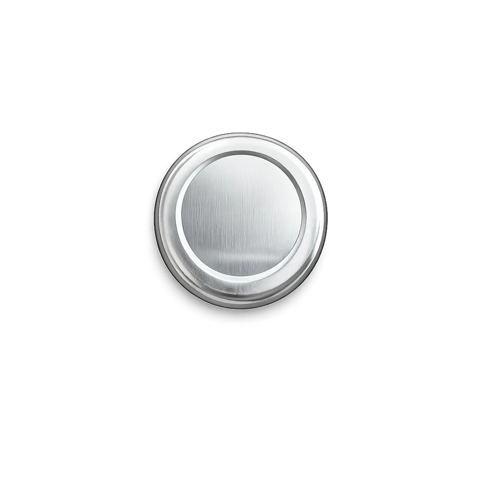43 mm Metal Lug Cap Silver